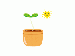 多肉植物開花不好？這是為什么，開的話如何養(yǎng)護(hù)